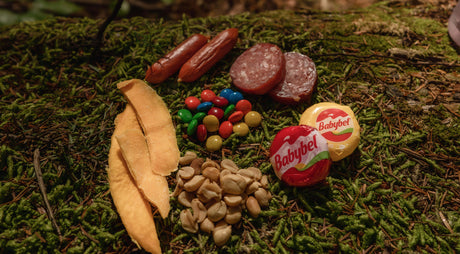 An assortment of meats, nuts, and candies on forest floor.