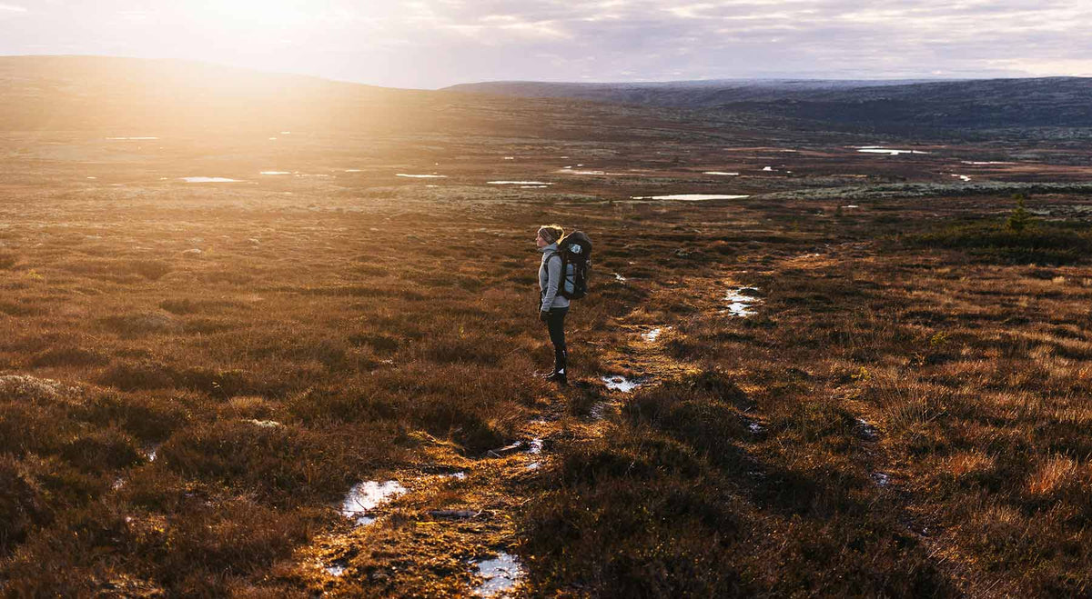 A woman is standing in a field as the sun rises over the horizon 