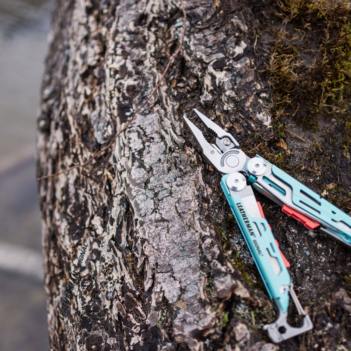 Tool Spotlight: Signal