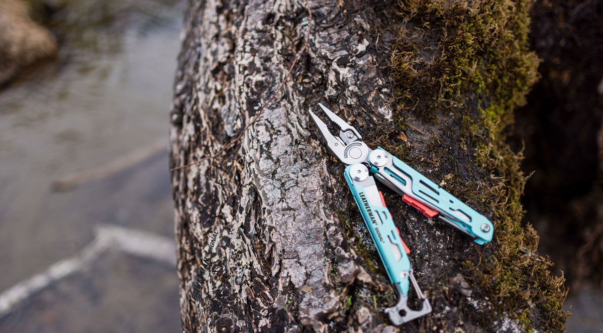 Tool Spotlight: Signal