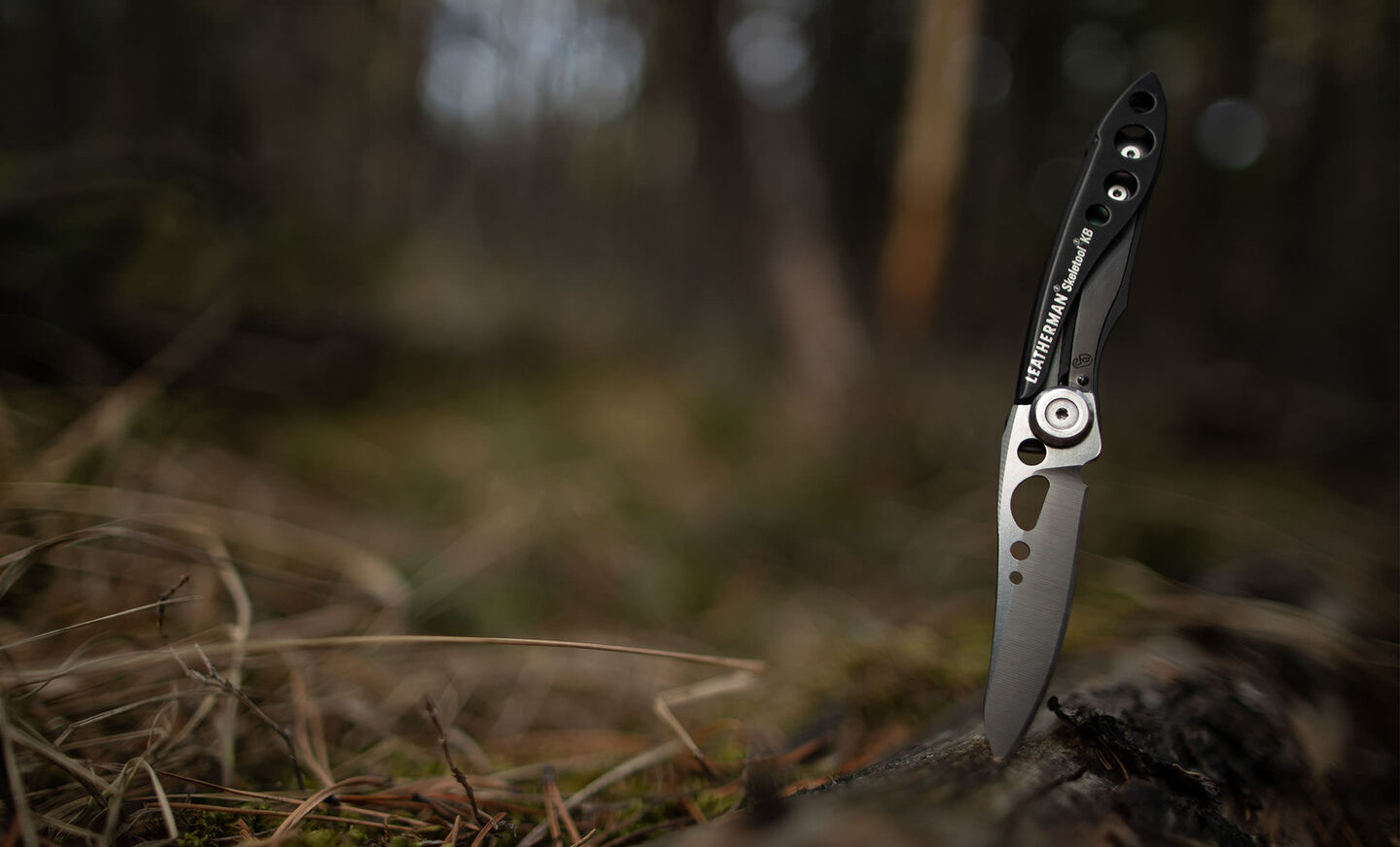 Leatherman KB sticking out of forest floor