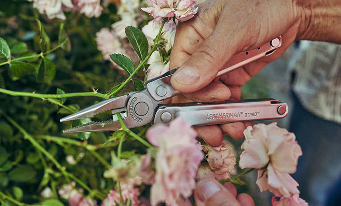 Man using Leatherman Bond to cut pink flower from shrub
