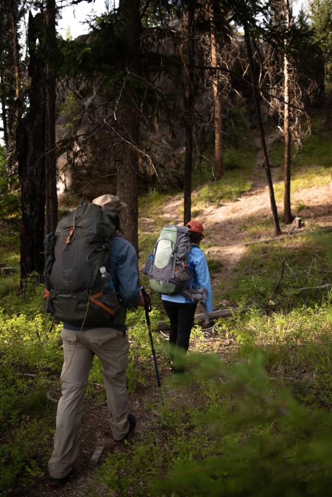 People backpacking through forest.