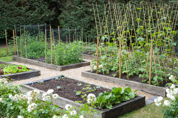 Raised gardening beds