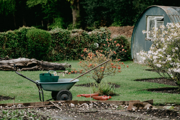 Grassy garden scene with a wheelbarrow, planter box and flowering trees. 