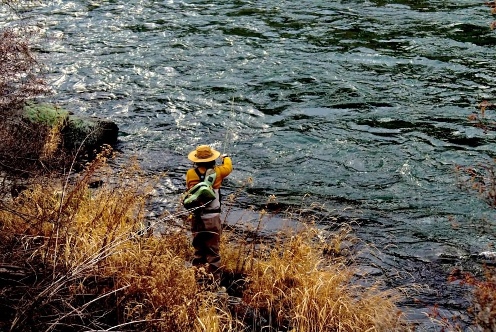 An angler casts a line out on the Deschutes river.