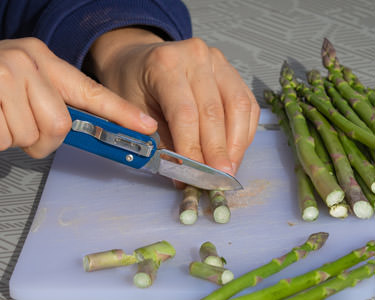Leatherman Free T4 cutting asparagus